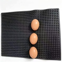 Tapis en plastique pour poulets et poules pondeuses, pour nichoirs de volailles, coussinets de nidification en PVC pour poulaillers, pour la production d'œufs familiaux