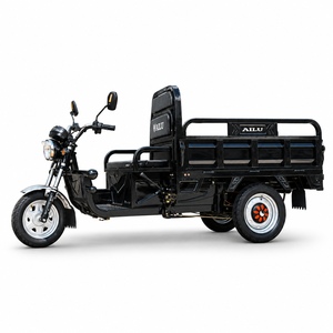 Tricycle électrique de fret 1000W AILU AL-HARVEST, batterie au plomb 60V 58 Ah, capacité de charge 500kg, freins à double tambour, OEM ODM Vente en gros - Product Image 4