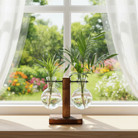 Petit vase hydroponique créatif en bois, décoration, culture aquatique de plantes vertes, arrangement floral transparent