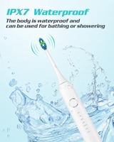 Brosse à dents électrique intelligente en gros, rechargeable, étanche, pour voyage, appareil de soin buccal, blanchiment et nettoyage des dents, brosse à dents sonique