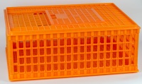 Nouvelle caisse de transport pour volailles en plastique, design carré, matériau PP, longue durée de vie pour volailles vivantes