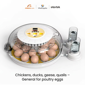 Mini Incubadora <span class=keywords><strong>de</strong></span> <span class=keywords><strong>Huevos</strong></span> para Uso Doméstico, 18 <span class=keywords><strong>Huevos</strong></span> con Control Preciso <span class=keywords><strong>de</strong></span> Temperatura, 98% <span class=keywords><strong>de</strong></span> Tasa <span class=keywords><strong>de</strong></span> Incubación - Product Image 1