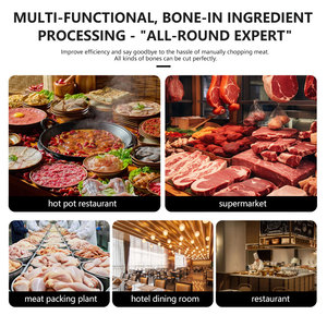 Segaossa Automatica Commerciale per Carne, Sega a Nastro per Affettatura a Freddo, Attrezzatura Professionale per Macellai, Alta Efficienza, Multitensione - Product Image 6