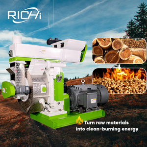 Máquina Peletizadora de Madera RICHI - Personalizable, Máquina de Pellets de Aserrín de 1t/h, Pakistán, Reino Unido, Estados Unidos - Product Image 1