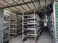 Cage automatique de couche de batterie à 4 niveaux de type H nouvelle conception d'équipement de ferme avicole efficace pour l'élevage de poulets et d'animaux