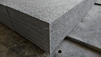 Escaliers en granit gris foncé naturel sur mesure G654 Finition flammée Carreaux d'extérieur pour utilisation extérieure Pavage en granit 50 mm