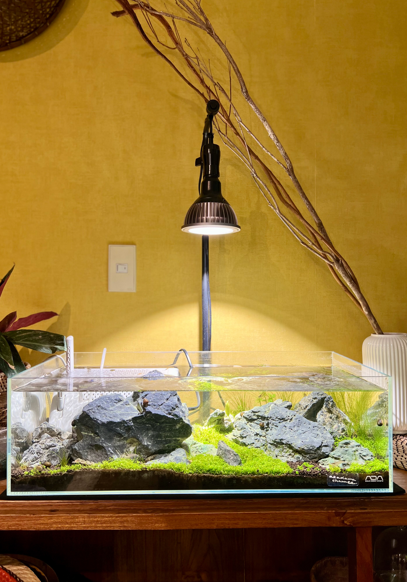 SUSANOO 10W Waterproof Marine LED Light for Aquariums Excellent