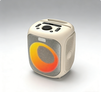 Boîte de subwoofer de 4 pouces amplifiée avec lumière LED colorée clignotante, enceintes en plastique, boombox professionnelle 3