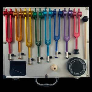 8 warna pelangi garpu Penyelaras gabungan logo kustom <span class=keywords><strong>set</strong></span> garpu penyetelan cetak Laser dengan penolak garpu penyetelan - Product Image 5