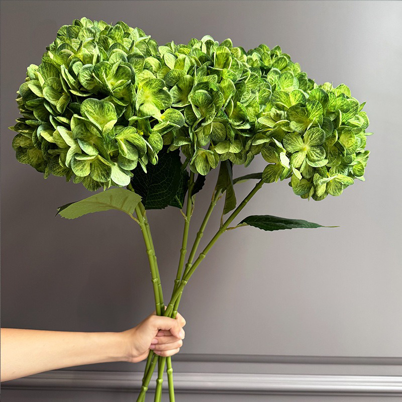Verde3