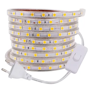 Bande lumineuse <span class=keywords><strong>LED</strong></span> 5050, 220V 240v, étanche, 60LED/m, <span class=keywords><strong>ruban</strong></span> <span class=keywords><strong>LED</strong></span> flexible avec interrupteur, prise, décoration de la maison, blanc/blanc chaud - Product Image 2