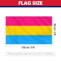 Drapeau Pansexuel OEM, Bannière Pan Pride 3x5ft, Impression Numérique Personnalisée sur Polyester, Vente en Gros Usine, Personnalisable pour Événements Nationaux