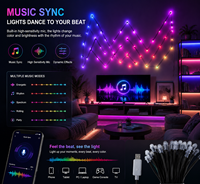 Vente directe d'usine, module lumineux LED à pixels RGB 5V étanche IP68 en plastique pour extérieur, avec commande par application, alimenté par batterie