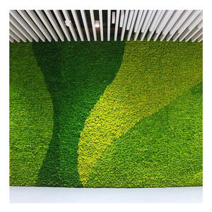 H0676 arte di alta qualità pannelli fatti a mano erba <span class=keywords><strong>artificiale</strong></span> parete, paesaggio decorativo <span class=keywords><strong>muschio</strong></span> <span class=keywords><strong>artificiale</strong></span> - Product Image 2
