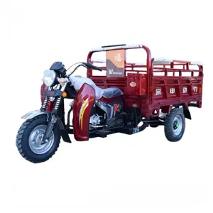 200 CC Fuel Cargo Tricycle Water Cooled Farming Gasoline Motorcycle Tricycle with Carriage 300cc 12V 3 Wheel Motorcycle 150cc