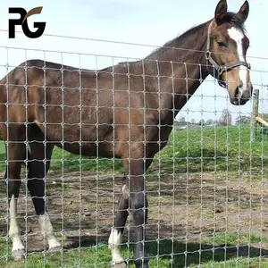 Animal revestido de pó de melhor qualidade, prevenir dobradiça, página articulada, campo de cerca de gado