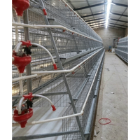 Cage à poules pondeuses de type A à alimentation automatique, avec nettoyage manuel du fumier par manivelle, pour élevage en batterie, à vendre