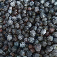 Hot Selling Frozen Blueberry Fruit Bulk 10Kg Iqf Frozen Blueberry Fruit Prijs