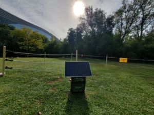 Schermidore elettrico per recinzione con alimentazione a corrente alternata fino a 10KM con energia in uscita 0.55 tensione Joule 12 KV - Product Image 4