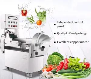 글로벌 과일 식품 야채 강판 슬라이서 커터 만두 린 슬라이서 야채 커터 다이 싱 기계 과일 절단 기계