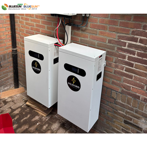 <span class=keywords><strong>แบ</strong></span><span class=keywords><strong>ต</strong></span>เตอรี่ลิเธียมไอออน Bluesun 48V 314Ah <span class=keywords><strong>Lifepo4</strong></span> <span class=keywords><strong>แบ</strong></span>บ Deep Cycle ใช้งานได้นาน 6000 รอบ พร้อมล้อ<span class=keywords><strong>ต</strong></span>ั้ง สำหรับพลังงานแสงอาทิ<span class=keywords><strong>ต</strong></span>ย์ - Product Image 6