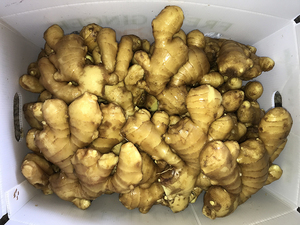 Gừng Khô Xuất Khẩu Gừng Tươi Từ Trung Quốc - Product Image 3