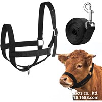 Fournitures équestres : Licol et longe réglables pour chevaux, corde de traction