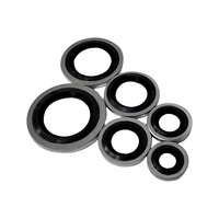 Metall-Gummi-Verbundunterlegscheibe mit NBR FKM Gummi M6 M8 M10 M12 M14 M16 Dichtungs-Unterlegscheibe
