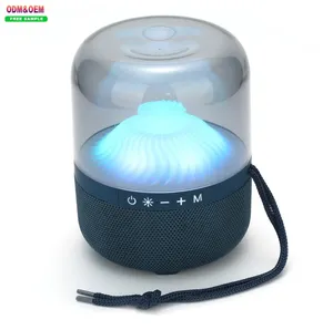 Shenzhen Händler Lautsprecher schneller Versand kundenspezifische LED bunte Lichter TWS zylindrische 5.1 Subwoofer FM Radio TF-Karte