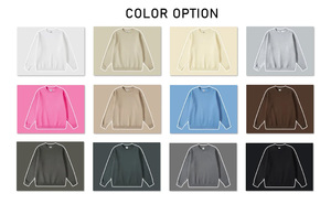 เสื้อสเวตเชิ้ต BE2511 ฮิปฮอป ทรงปกติ ซับใน ปักลาย คอกลม ผ้าหนา เป็นมิตรกับสิ่งแวดล้อม กันลม ระบายอากาศ 345 กรัม โพลีเอสเตอร์ - Product Image 3