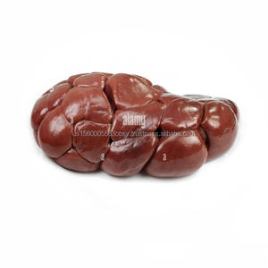 Fournisseur en gros de rein de veau marché en ligne de rein de veau congelé en ligne - Product Image 5