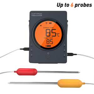 Termômetro <span class=keywords><strong>Digital</strong></span> para Churrasco Hypersynes com Relógio Novo Medidor de Temperatura de Plástico Pro1 - Product Image 2
