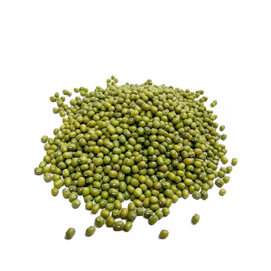 B.c.i cung cấp bột protein Xanh 80% bột đậu xanh chiết xuất đậu xanh - Product Image 3