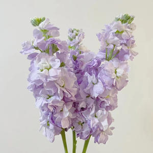 Fábrica al por mayor de alta calidad violeta artificial flor púrpura inventario de seda Decoración de mesa de boda - Product Image 6