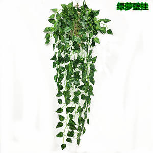 نبات عنكبوت صناعي pothos لتزيين الحائط، نبات راتان صناعي، نبات بيجونيا، قبعات ivy النباتية الصناعية - Product Image 5
