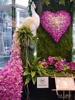 Vente en gros d'usine, paon décoratif élégant pour fête de vacances, fleur artificielle naturelle