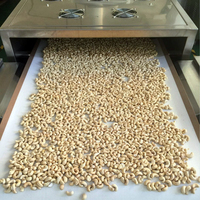 100% Natuurlijke Rauwe Cashewnoten Met Laag Vetgehalte Verse Pitnoten Geen Toevoegingen Verwerkt Gedroogd Fruit En Noten W180
