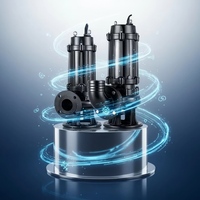 Bomba Sumergible de Drenaje de Alto Caudal 264GPM WQ 5HP SS304, Altura de Elevación 164ft, DN50, con Brida, para Aguas Residuales