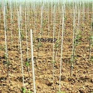 Flexible Solid Fiberglass Pole for Greenhouse - Product Image 4