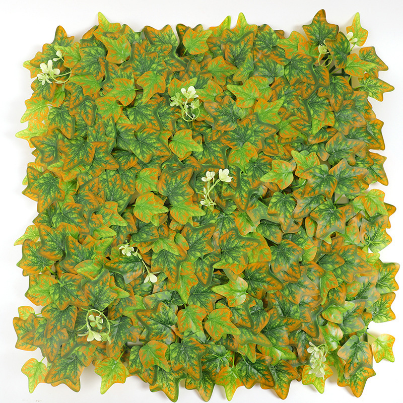 50cm x 50cm de lierre aux bords orange