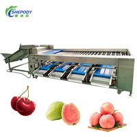 Shepody hogesnelheidsautomatische fruit- en groentesorteermachine, automatische sorteermachine voor mango's, appels, citroenen en groenten op maat.