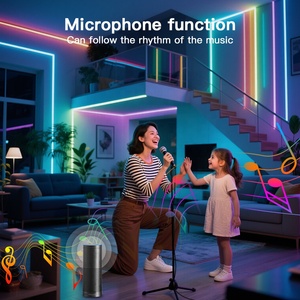 <span class=keywords><strong>2025</strong></span> giá rẻ WLED ESP32 kỹ thuật số <span class=keywords><strong>LED</strong></span> Light Strip điều khiển với 4 Kết quả đầu ra loại C Port với mức độ Shifter IC 15A cầu chì ws2812b - Product Image 4