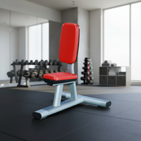 Banc de musculation utilitaire plat réglable, style moderne, entraîneur de sit-up