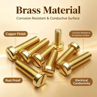 Furniture Decoration Brass Slotted Pan Head Screw Golden Appearance Copper Fastener for Cabinet Hardware Decorative Fixing