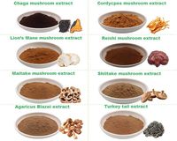 Mélange de poudre d'extraits de champignons superaliments certifiés ISO : Crinière de lion, Reishi, Cordyceps, Chaga, Shiitake, Queue de dinde - Aliment santé