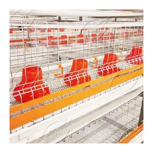 Hochwertige H-Typ Broiler Hühner käfige Haus Geflügelfarm in Malaysia