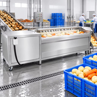 Wortelgroenten borstel- en schilapparatuur voor het wassen van aardappel, wortel, gember, yam, taro en cassave
