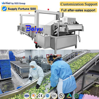 Baiyu Automatische Spinazie Blancheringsmachine voor diepvriesspinazie verwerkingsfabriek met continu verwarmingssysteem