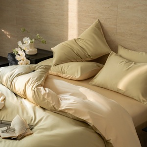 Copripiumino in Cotone a Fibra Lunga 100% di Alta Qualità, Semplice, a Doppio Strato, Quattro Pezzi, per Autunno e Inverno - Product Image 4