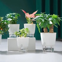 Pot de fleurs auto-arrosant, pot de fleurs en plastique hydroponique, pot de fleurs à absorption automatique d'eau, pot à bonsaï transparent à double couche